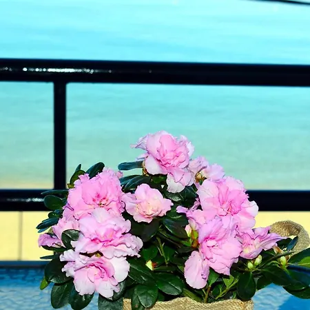 βeachfront Apartment, Next To Chania Center & Old Harbor! Lejlighed Chania (Crete)
